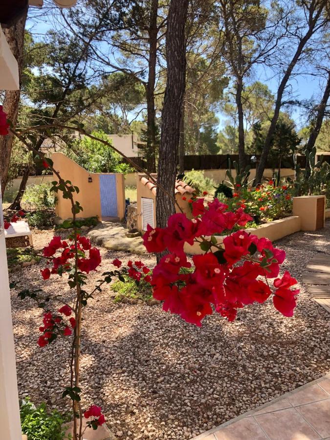 Apartamento Sa Ginebra, Cala Saona Exterior foto