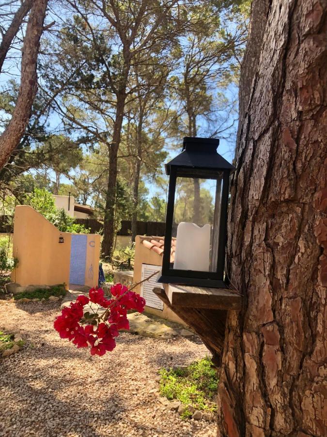 Apartamento Sa Ginebra, Cala Saona Exterior foto