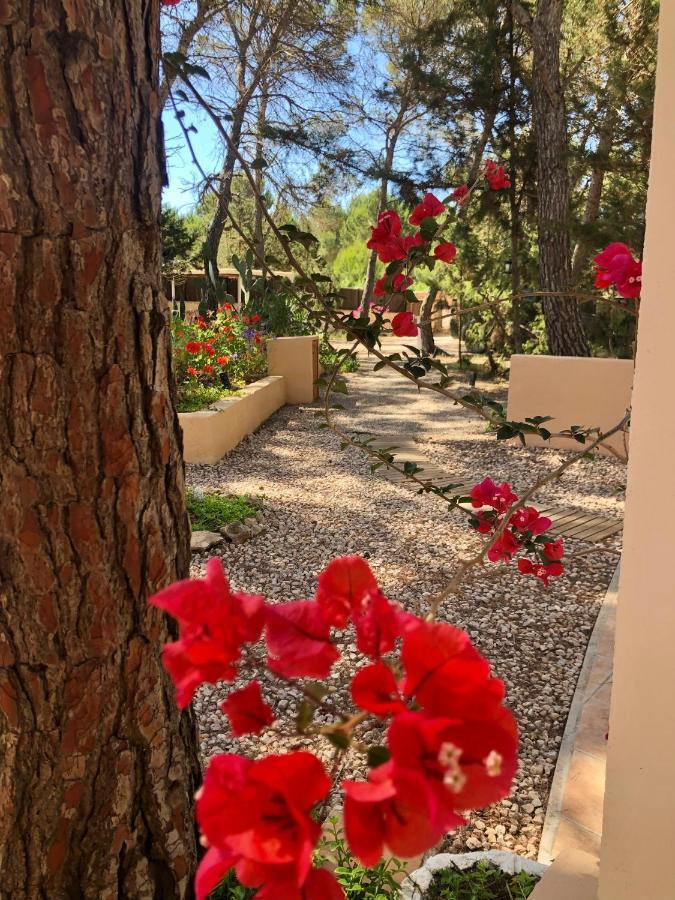Apartamento Sa Ginebra, Cala Saona Exterior foto